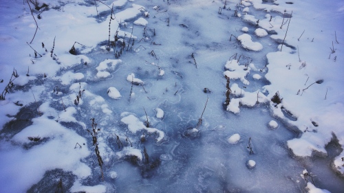 frozen stream | east kelowna